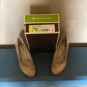 Naturalized Lennox Pump